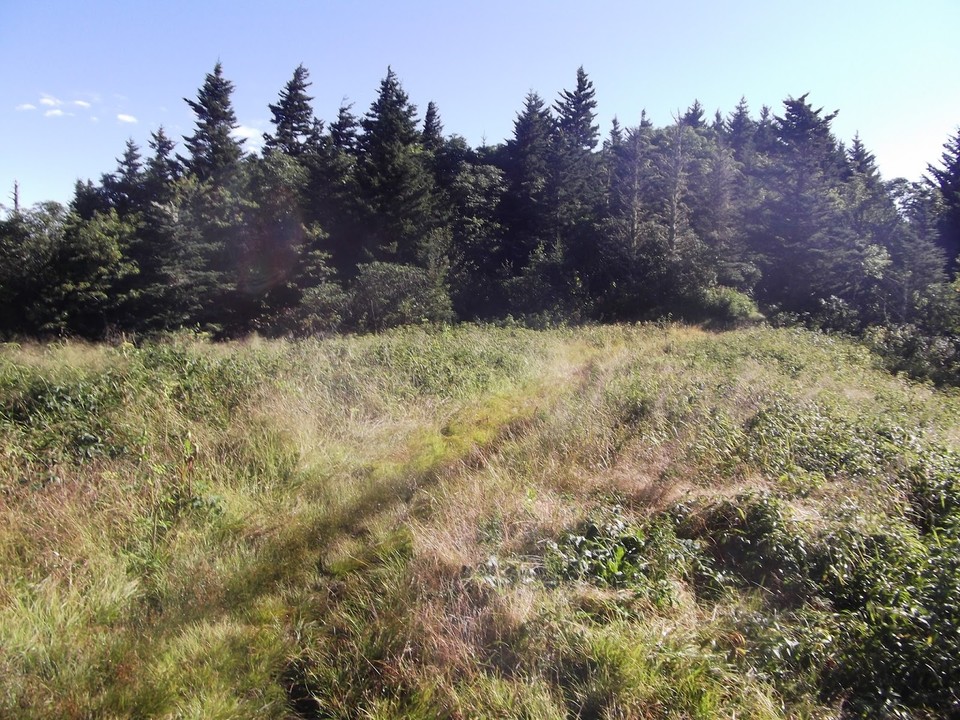 Hiking Path