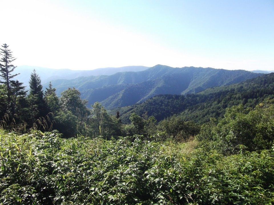 Smoky Mountan View