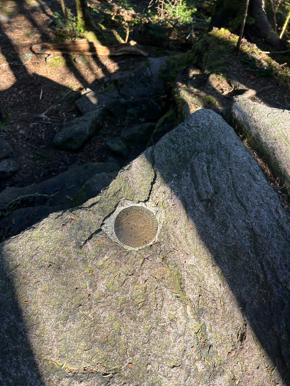 USGS Marker at Mount Rogers